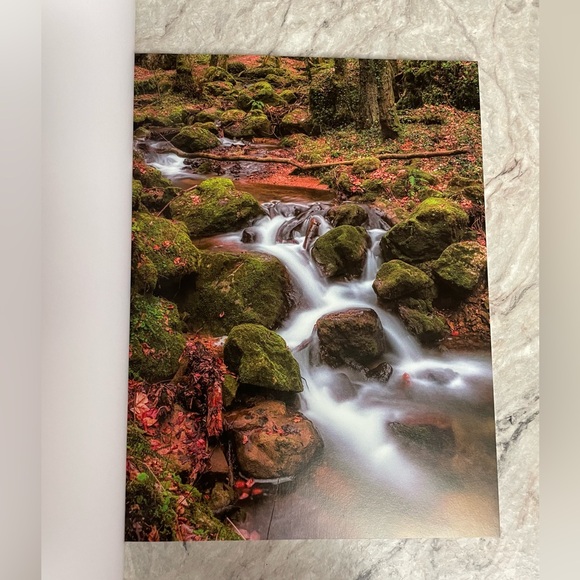 2/$20💕WoodlandCollage Kit 🍁 - Picture 3 of 10